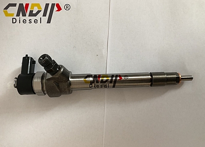 Common Rail Fuel Injector 0445110789 