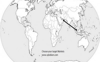 UAE and Singapore (Sylodium, export to UAE from Singapore)
