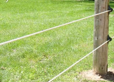 Electric Wire Horse Fencing System