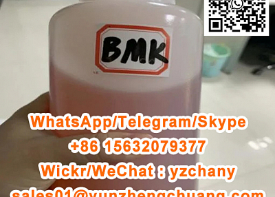 5413-05-8 BMK ETHYL 2-PHENYLACETOACETATE/5449-12-7 Glycidic Acid sodium salt/