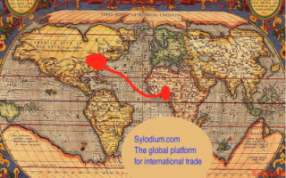 U.S. – Ghana (Sylodium, import export business)