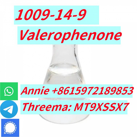 99% purity Valerophenone Cas 1009-14-9 factory price warehouse Europe