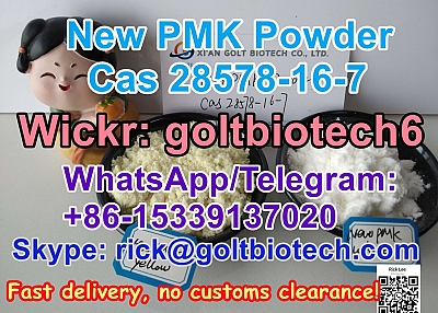 PMK Oil/Powder Cas 28578-16-7 