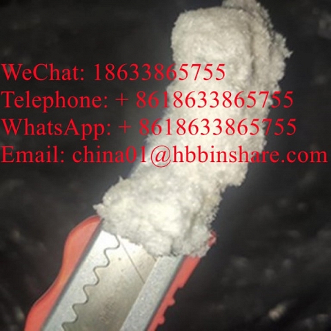 WhatsApp: + 8618633865755、