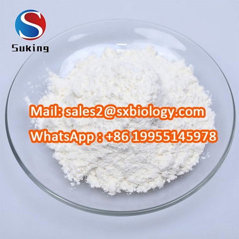 High Purity New BMK Glycidate CAS 5413-05-8 BMK Powder CAS 16648-44-5 Pmk Glycidate 13605-48-6 with 