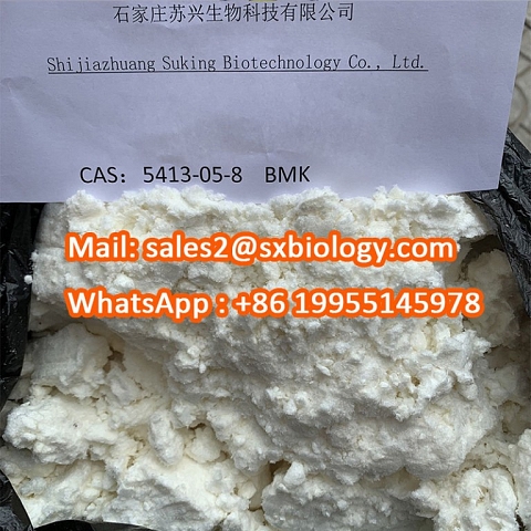 High Purity New BMK Glycidate BMK Powder CAS 16648-44-5 Pmk Glycidate 13605-48-6