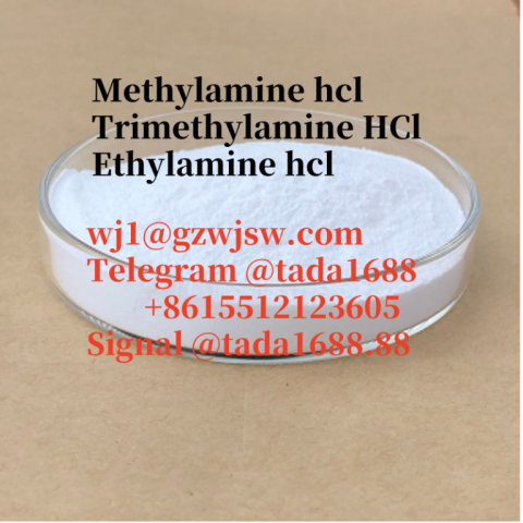 wj1@gzwjsw.com  Telegram @tada1688 