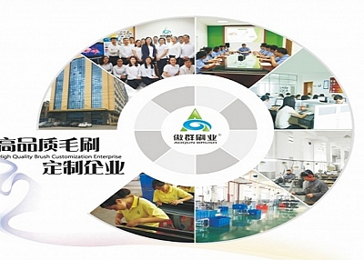 Platform Door Back Strip Brush, AOQUN Tells You Why You Should Choose The Right One!