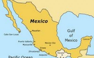 Ireland-Mexico (Sylodium, import export business)