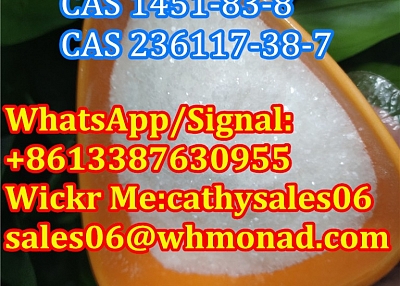2-Bromo-1-Phenyl-1-Butanone CAS 1451-83-8 2-Bromo-4'-Methylpropiophenone CAS 1451-82-7 in Safety Shi