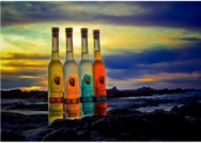 ONILIKAN, Licores Artesanales de Mazatlán. 