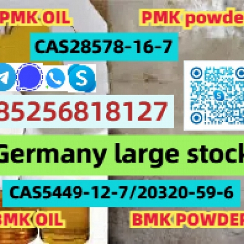 BMK 缩水甘油酸（钠盐） CAS 5449-12-7 热 pmk 油粉 28578-16-7 20320-59-6