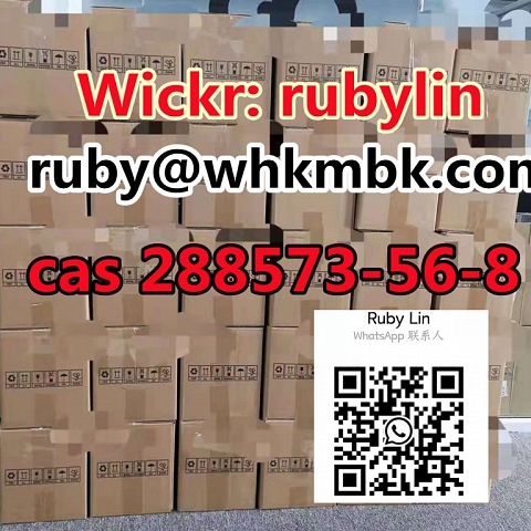 Hot Sale Tert Butyl 4 (4 fluoroanilino) CAS: 288573 56 8 with Best Price 99.9%
