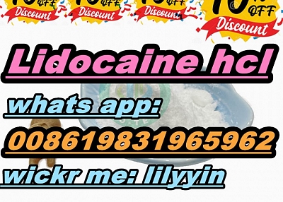 1000KG STOCK 73-78-9 Lidocaine hydrochloride hcl UK Spain Germany