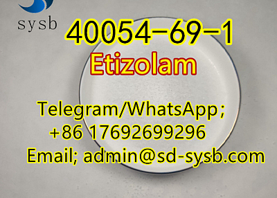  110 CAS:40054-69-1 Etizolam