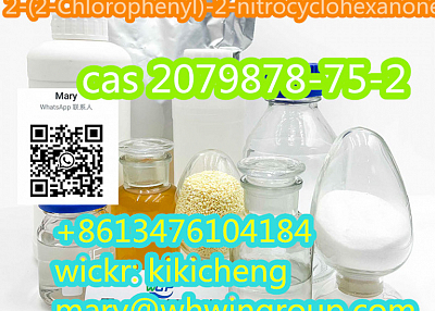 2-(2-Chlorophenyl)-2-nitrocyclohexanone CAS 2079878-75-2 +86-13476104184