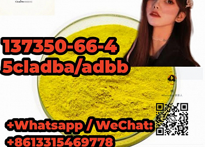 Favorable price  ThioGlo1 5cladba adbb adba137350-66-4 