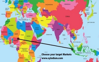 Indonesia - Nigeria (Sylodium, export to Nigeria from Indonesia)