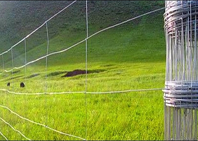 CATTLE FENCE