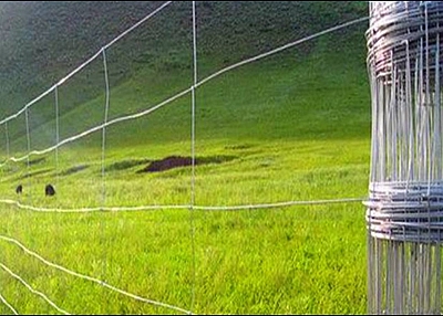 CATTLE FENCE