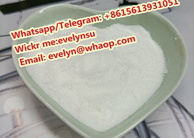 Cas 59-46-1 procaine Whatspp:+8615613931051