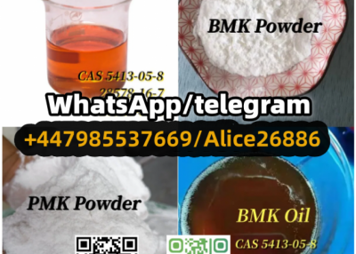CAS 28578-16-7/20320-59-6/5413-05-8/13605-48-6 BMK/PMK power/liquid 