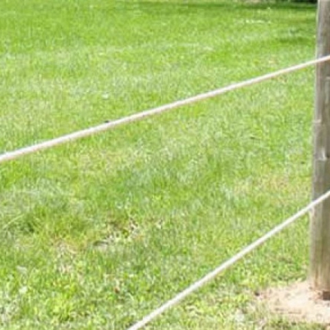 Electric Wire Horse Fencing System