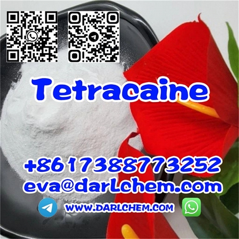 99% Pain Reliever Tetracaine Powder CAS 94-24-6