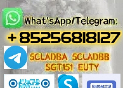 从最佳供应商处销售 5cladba 5cl 黄色粉末