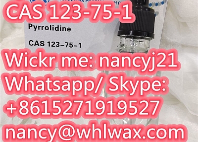 China Manufacturer of 99% Pyrrolidine CAS 123-75-1 in Stock