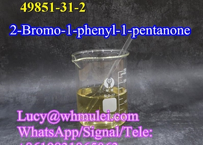 2-Bromo-1-phenyl-1-pentanone CAS 49851-31-2 Factory Direct Supply