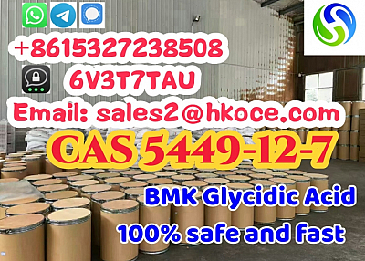 New BMK Glycidic Acid (sodium salt) CAS 5449-12-7 used in Pharmaceutical Industry