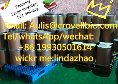 High quality procaine /  CAS No.: 59-46-1 /  buy procaine China supplies / +86 19930501614