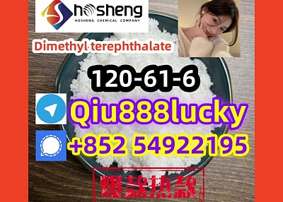 120-61-6  Dimethyl terephthalate  