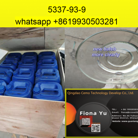 Cas 5337-93-9 factory  whatsapp +86 19930503281