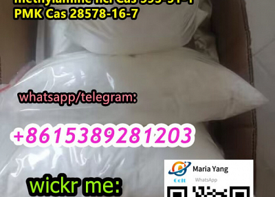 Safe shipment Methylamine hydrochloride Cas no. 593-51-1 China vendor Wickr:goltbiotech