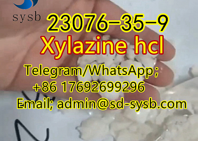  106 CAS:23076-35-9 Xylazine hcl 