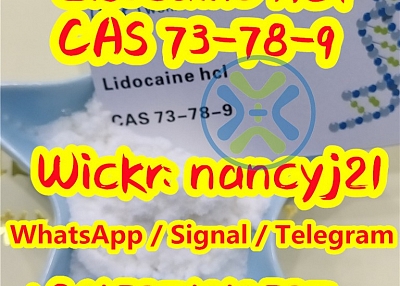 Lidocaine hydrochloride CAS73-78-9 99.9% purity  wickr me nancyj21
