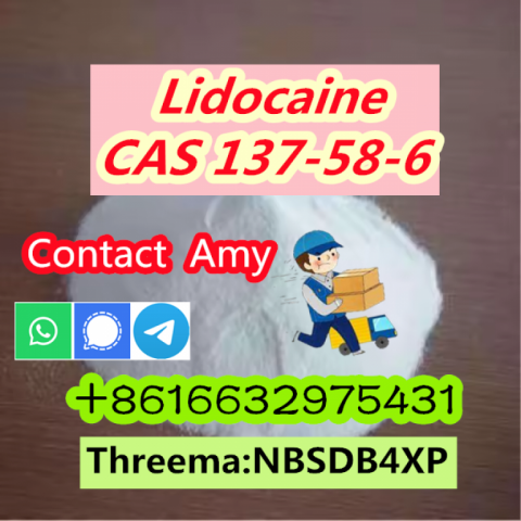 Lidocaine Supplier CAS 137-58-6