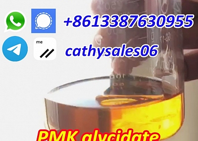 New PMK ethyl glycidate Oil 100% Safe Delivery PMK chemical Cas 28578-16-7 whatsApp:+8613387630955