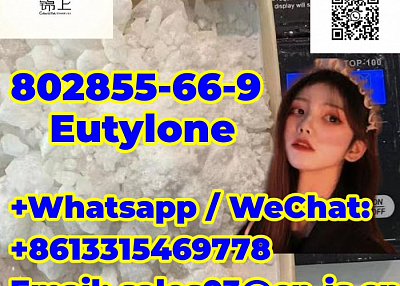 lowest price  Eutylone 802855-66-9 