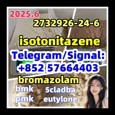 isotonitazene 2732926-24-6 14188-81-9 