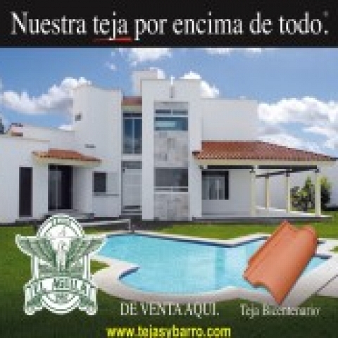 tejasybarro