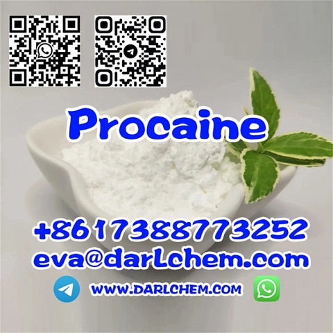 Procaine Hydrochloride Raw Procaine Hydrochloride CAS 51-05-8