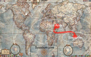 Saudi Arabia - Singapore (Sylodium, Free Import-Export directory)