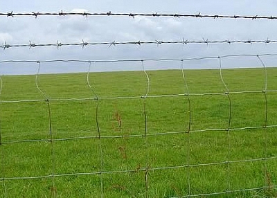 PERIMETER FENCE