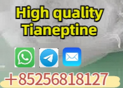出售CAS66981-73-5 Tianeptine中国供应商