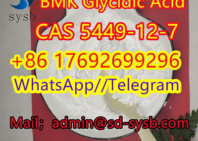 5449-12-7  BMK Glycidic Acid    