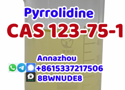 Factory Supply Pyrrolidine Cas 123-75-1 with Safe Delivery Door to Door