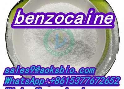 benzocaine cas 94-09-7 benzocaine powder benzocaine China factory supplier wickr aoksalsa